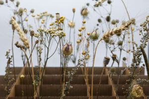 A close-up of flowers growing near a box partition.